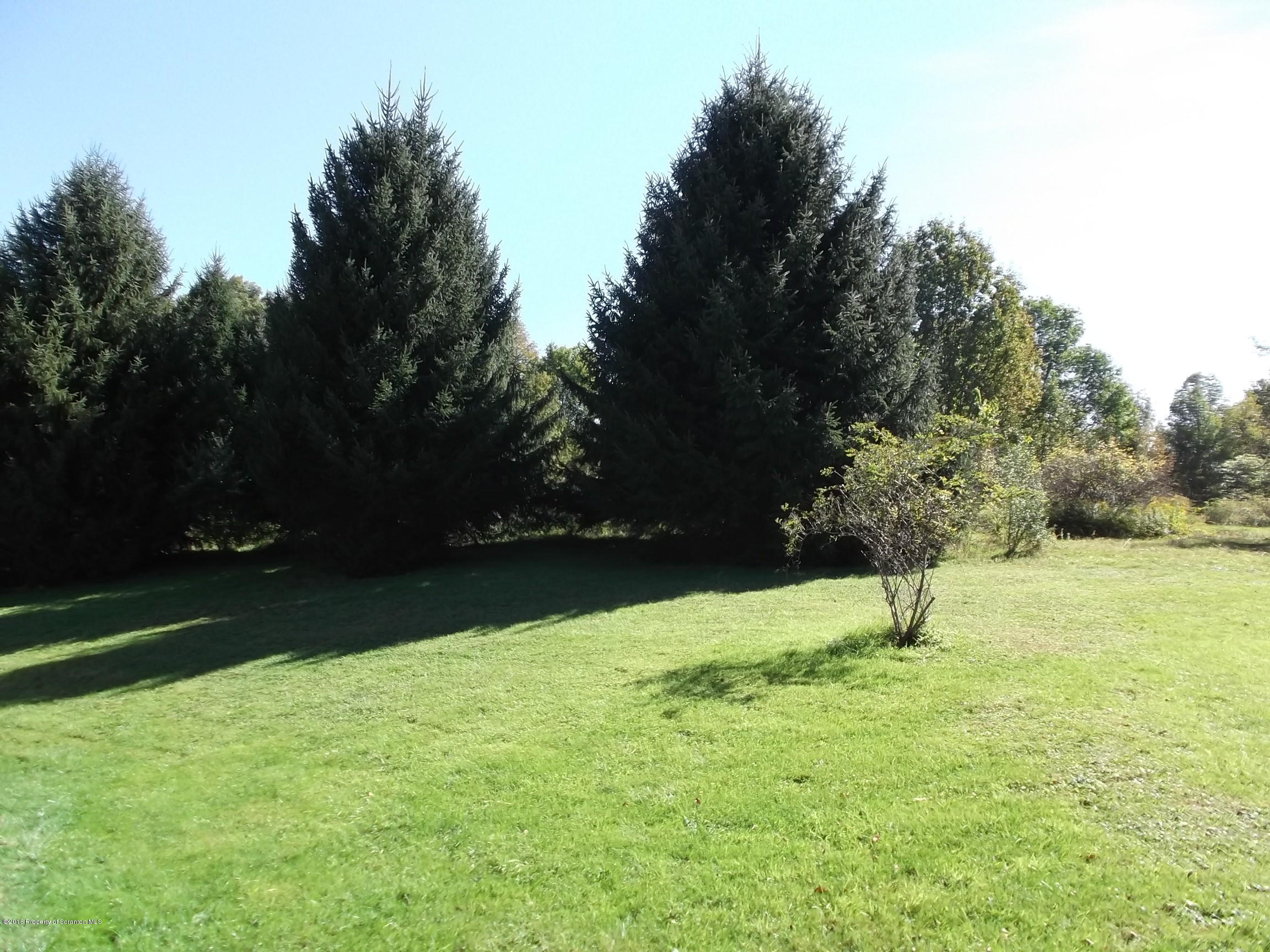 203 Town Hill Road Prompton, PA 18456 - Photo 20 of 24 Gallery Image 20