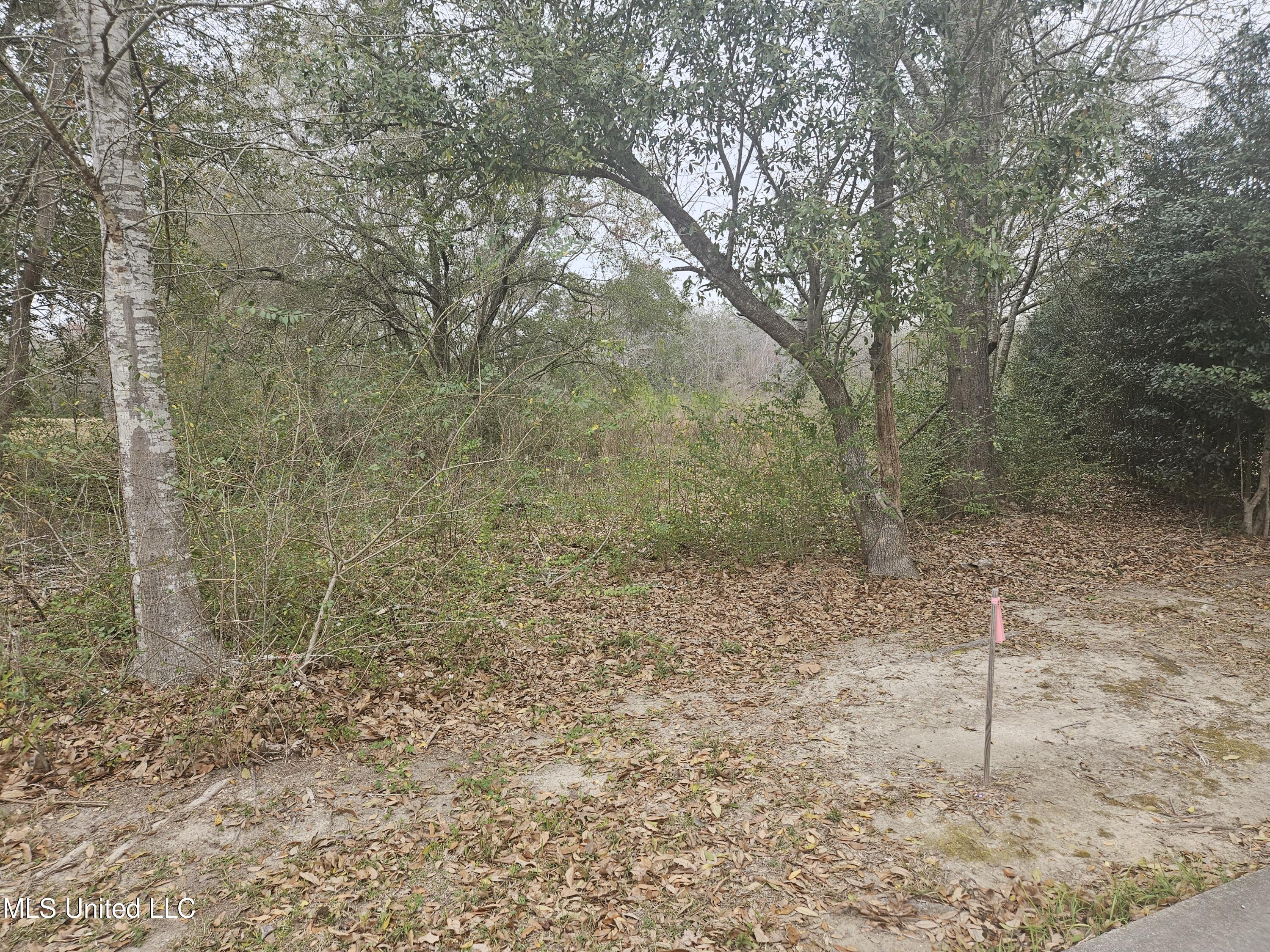 0 Dara Hills Road Gulfport, MS 39503 - Photo 1 of 10 Dara Hill Road Frontage