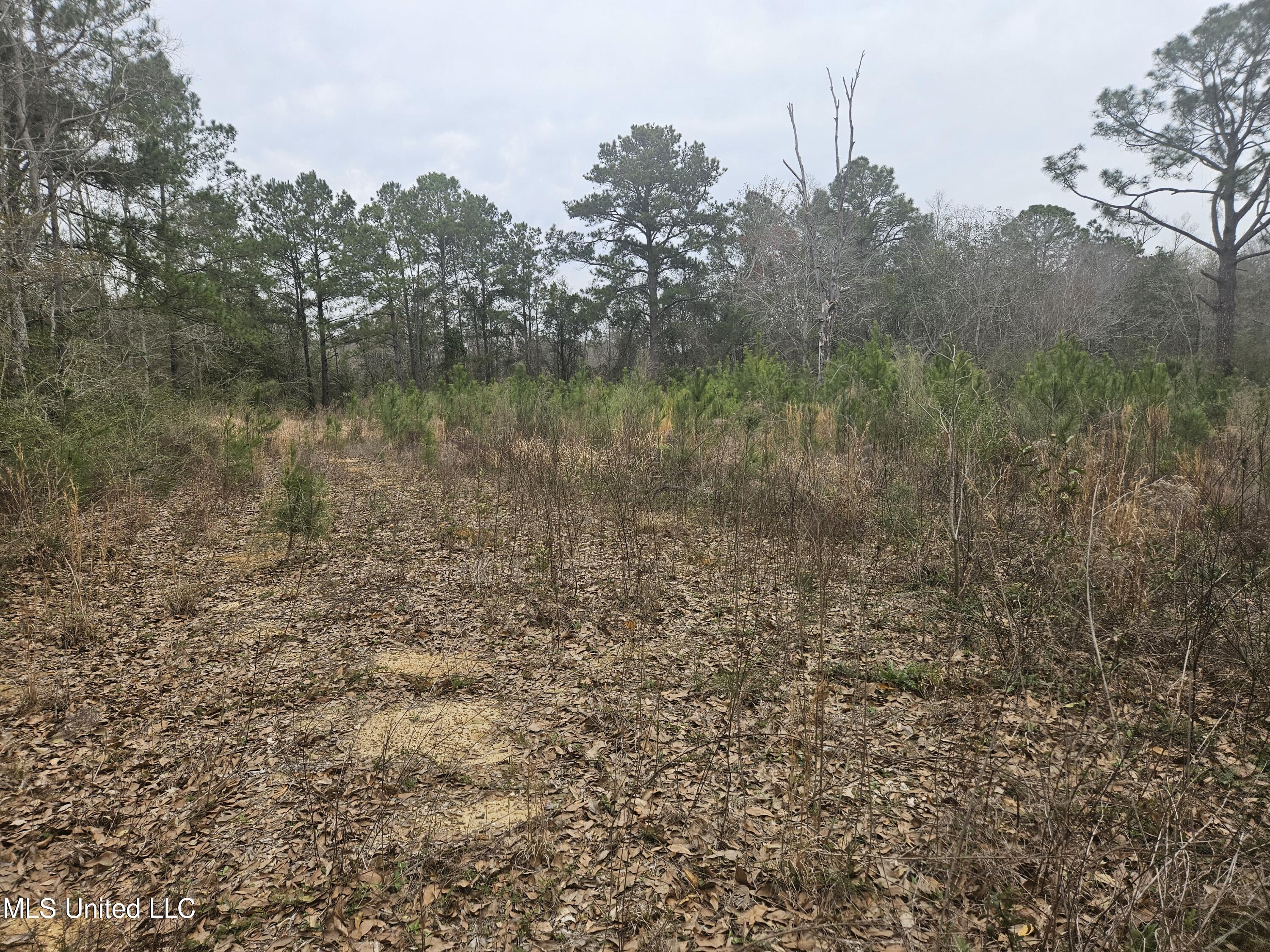0 Dara Hills Road Gulfport, MS 39503 - Photo 4 of 10 Homesite