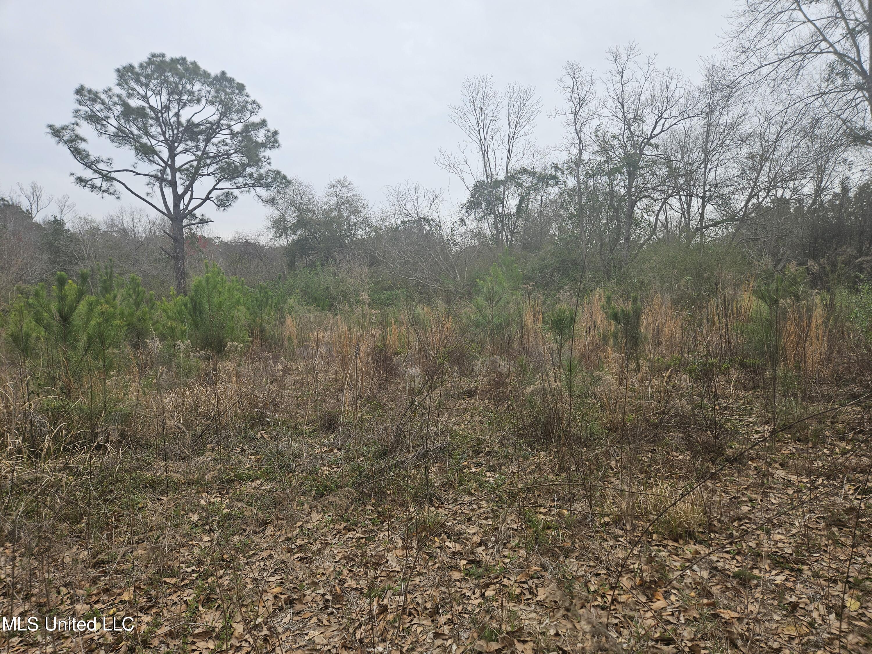 0 Dara Hills Road Gulfport, MS 39503 - Photo 5 of 10 Homesite