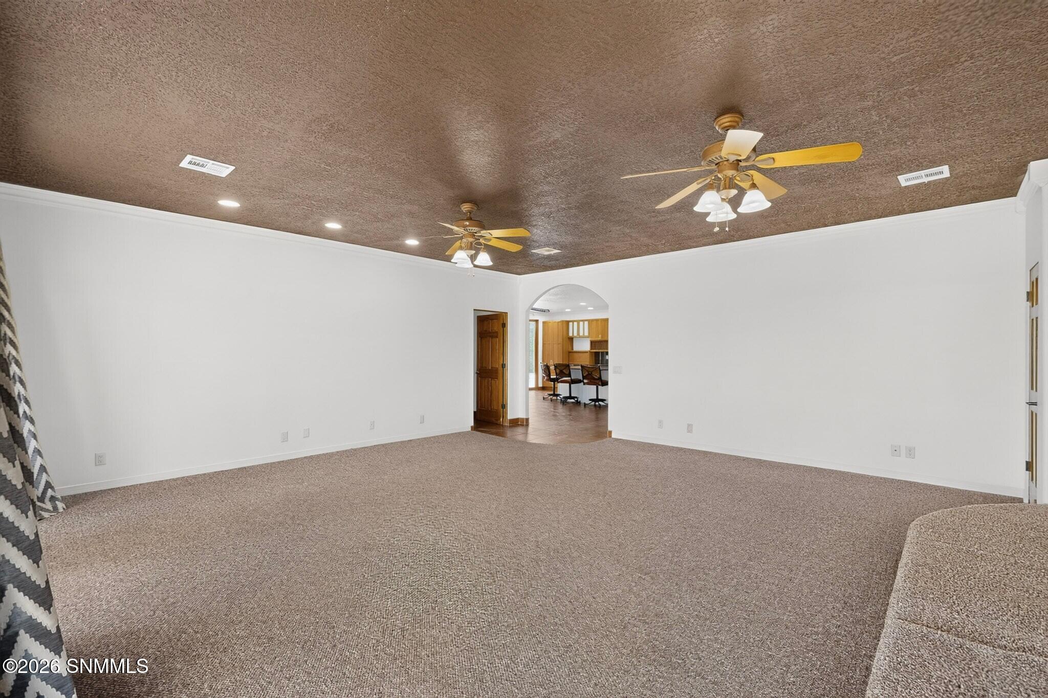 21998 Homestead Road Deming, NM 88030 - Photo 15 of 73 Theater
