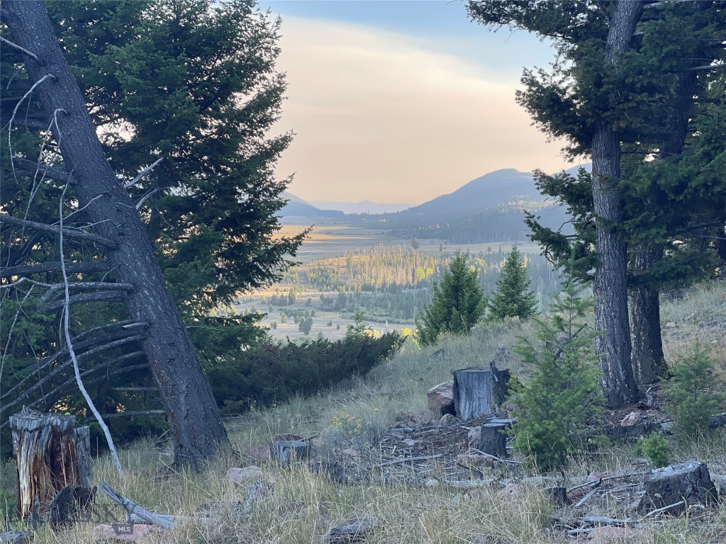 190 Lowland Road Butte, MT 59701 - Photo 1 of 1 Gallery Image 1