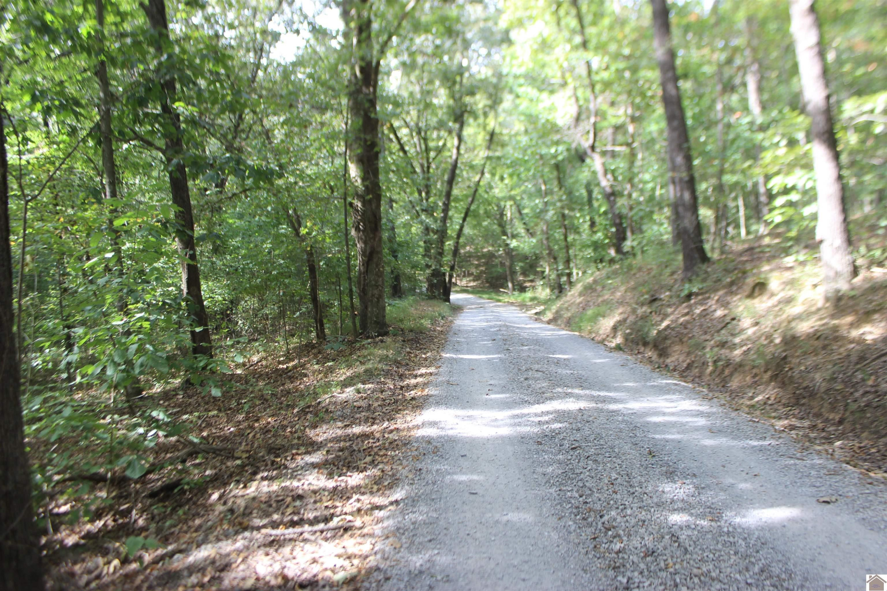 0 Corinth Church Road Grand Rivers, KY 42045 - Photo 49 of 49 Photo 50