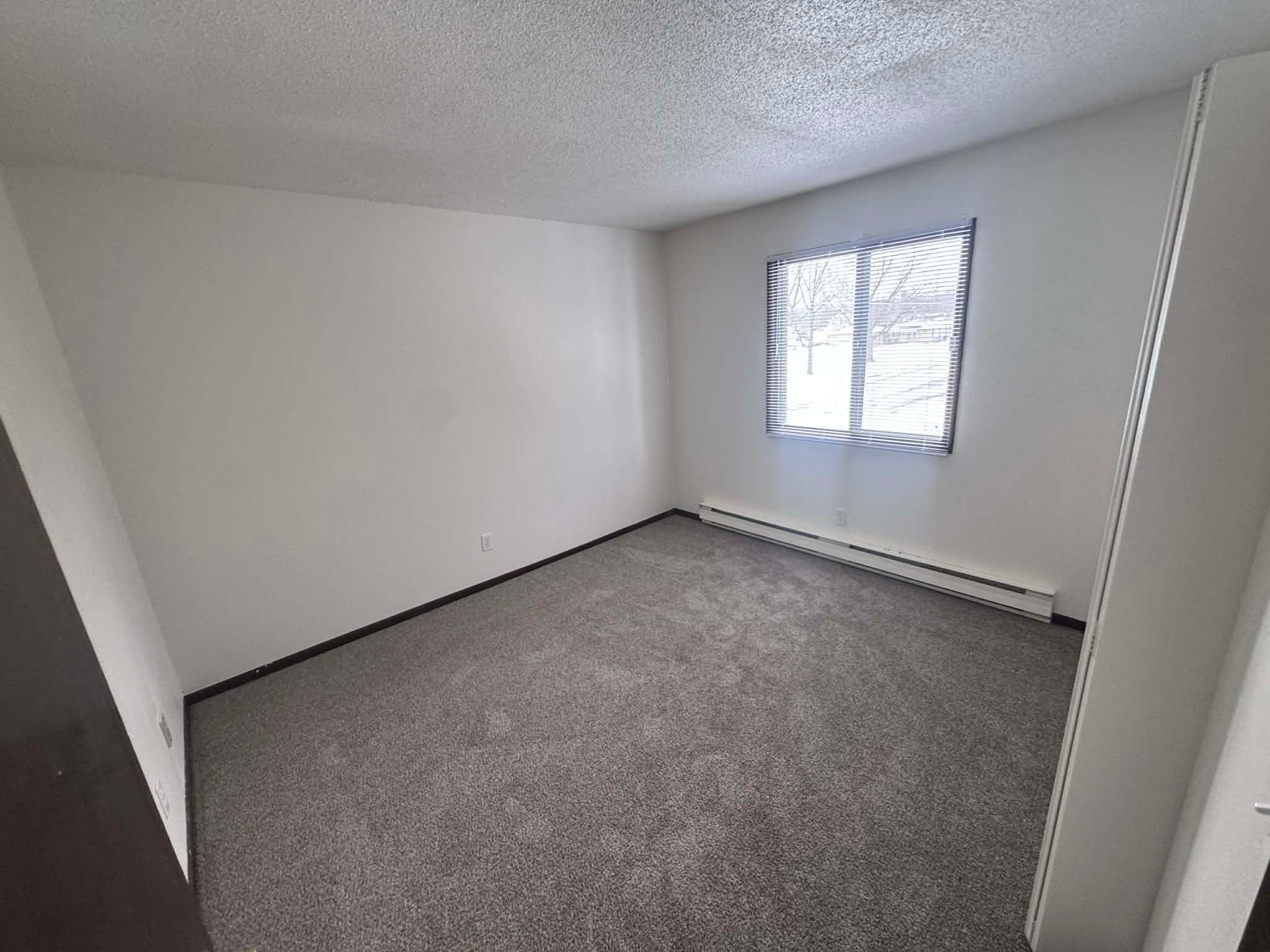 408 Park Avenue, Unit 2 Madison, MN 56256 - Photo 9 of 13