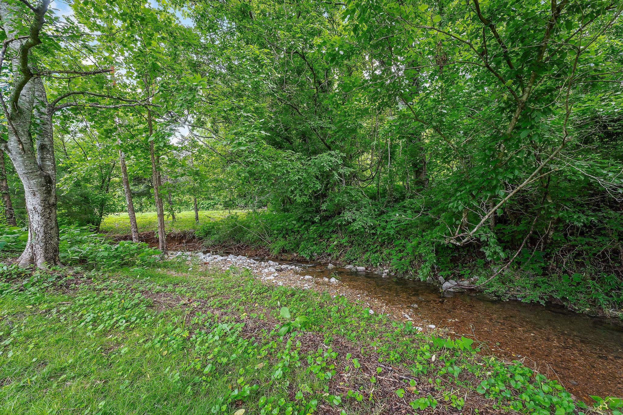 3975 Dry Creek Road Dowelltown, TN 37059 - Photo 29 of 64 Gallery Image 29