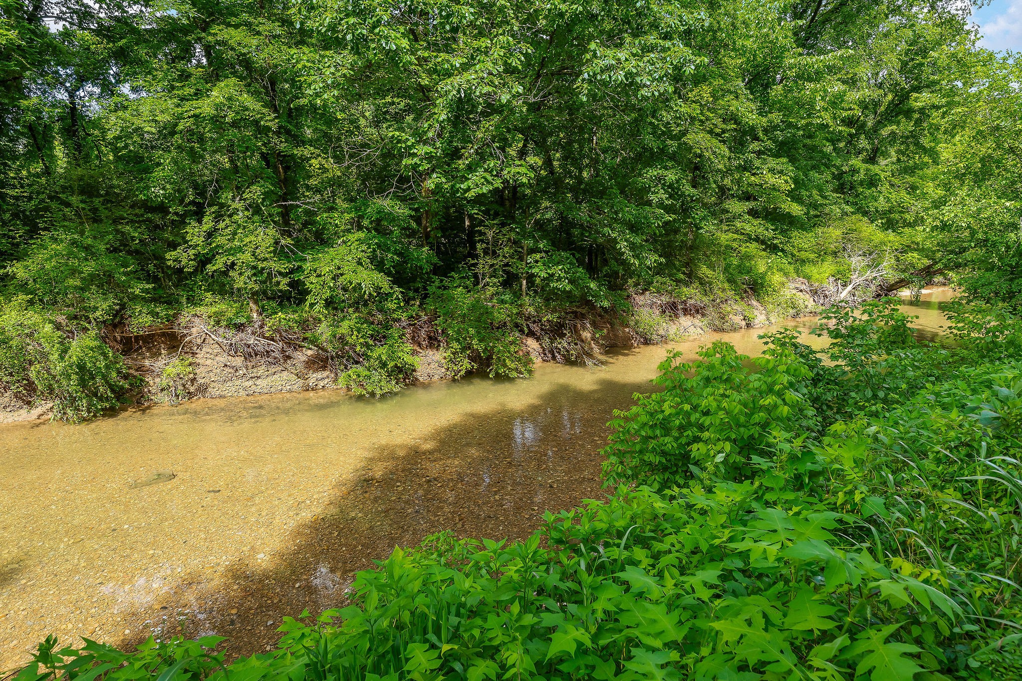3975 Dry Creek Road Dowelltown, TN 37059 - Photo 30 of 64 Gallery Image 30