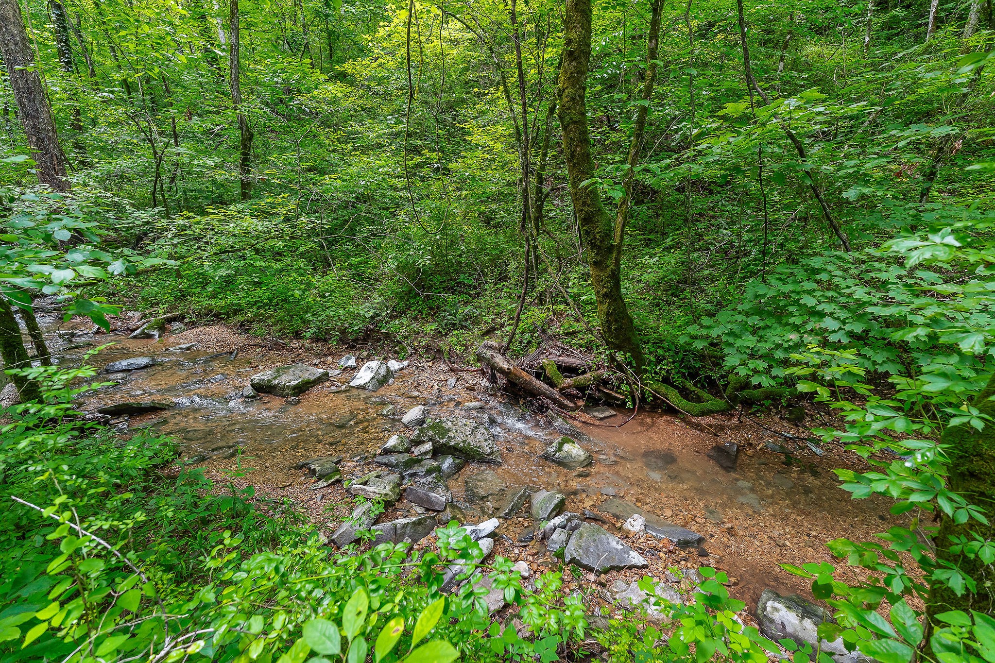 3975 Dry Creek Road Dowelltown, TN 37059 - Photo 31 of 64 Gallery Image 31