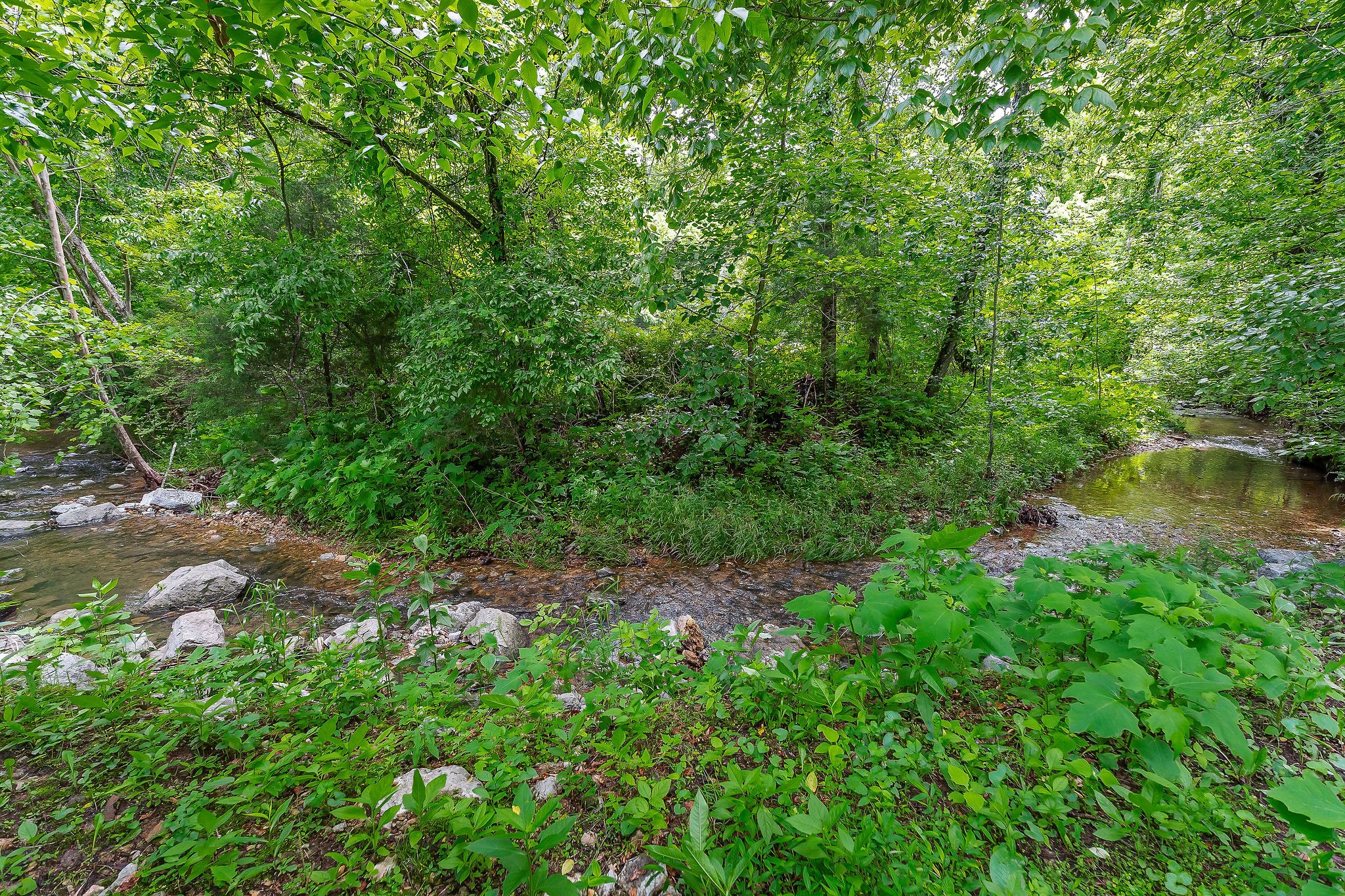 3975 Dry Creek Road Dowelltown, TN 37059 - Photo 34 of 64 Gallery Image 34