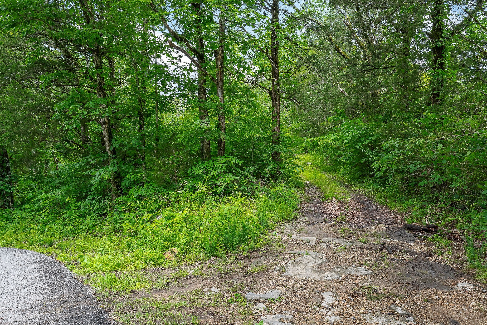 3975 Dry Creek Road Dowelltown, TN 37059 - Photo 47 of 64 Gallery Image 47