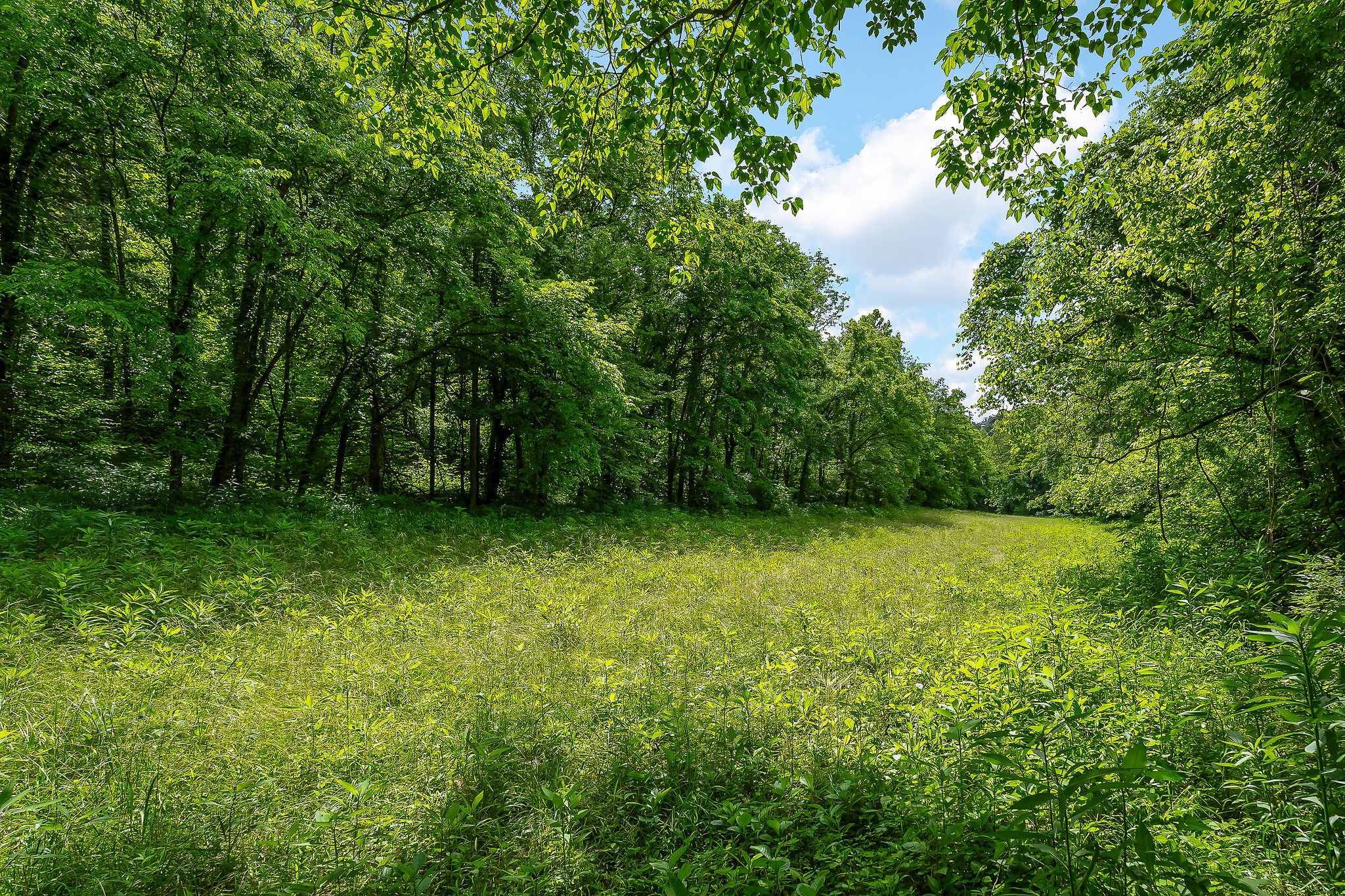 3975 Dry Creek Road Dowelltown, TN 37059 - Photo 51 of 64 Gallery Image 51