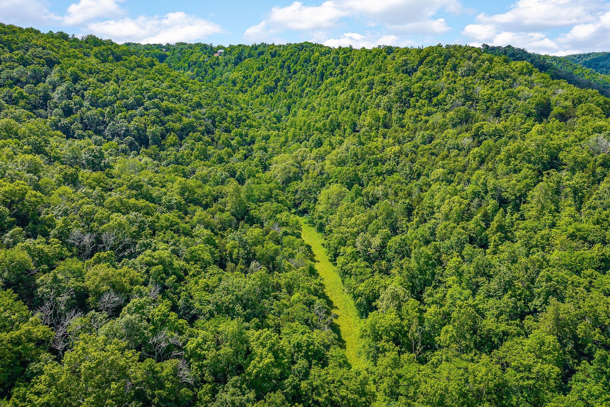 3975 Dry Creek Road Dowelltown, TN 37059 - Photo 57 of 64 Gallery Image 57