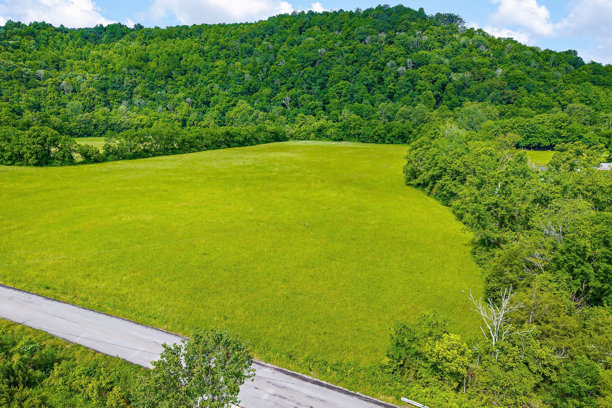 3975 Dry Creek Road Dowelltown, TN 37059 - Photo 59 of 64 Gallery Image 59