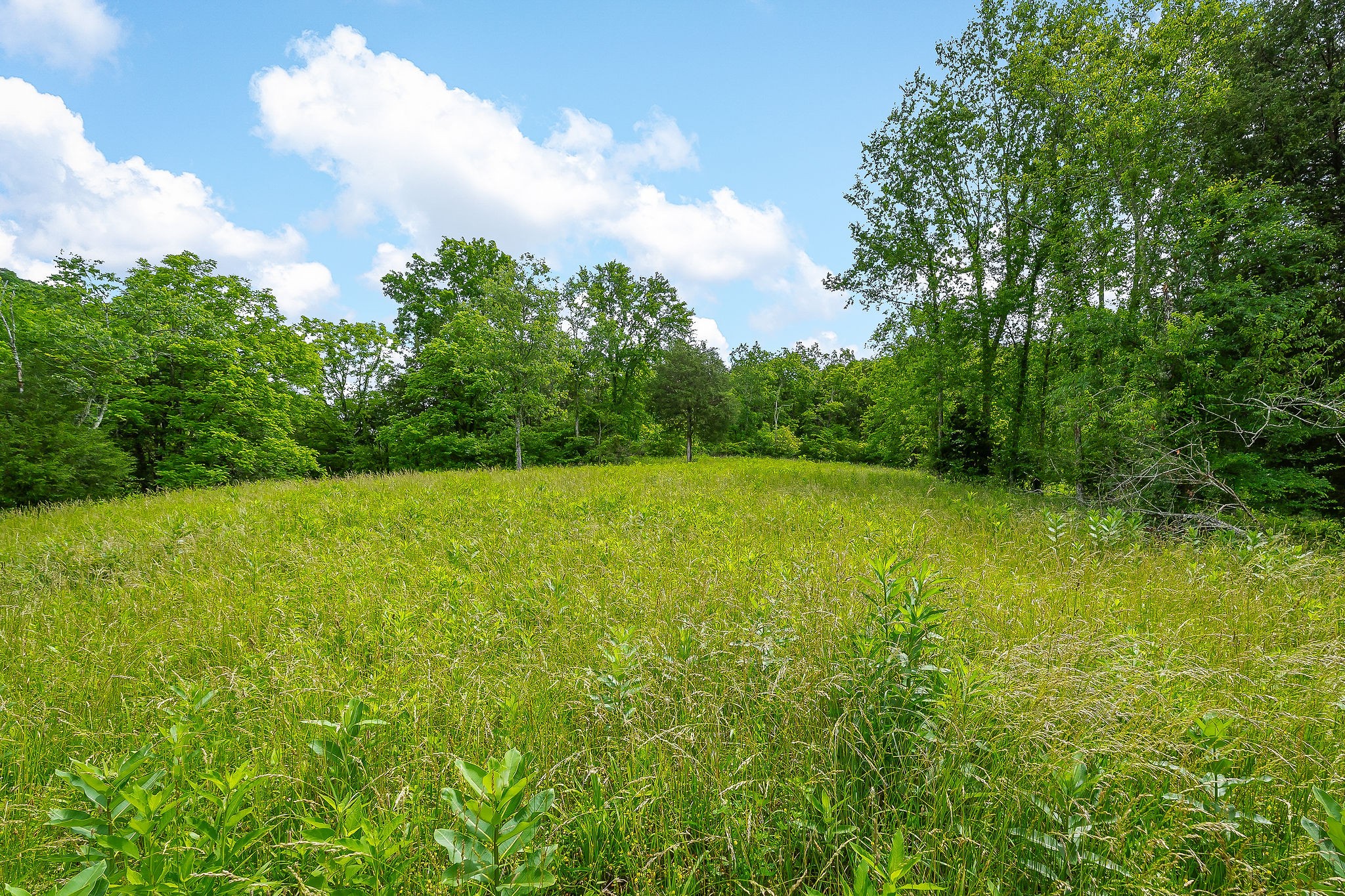 3975 Dry Creek Road Dowelltown, TN 37059 - Photo 63 of 64 Gallery Image 63