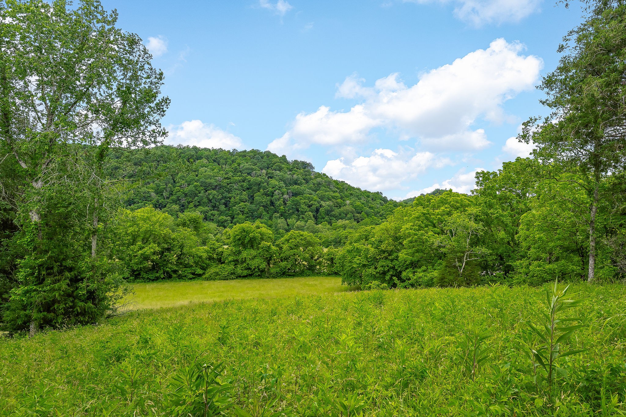 3975 Dry Creek Road Dowelltown, TN 37059 - Photo 64 of 64 Gallery Image 64