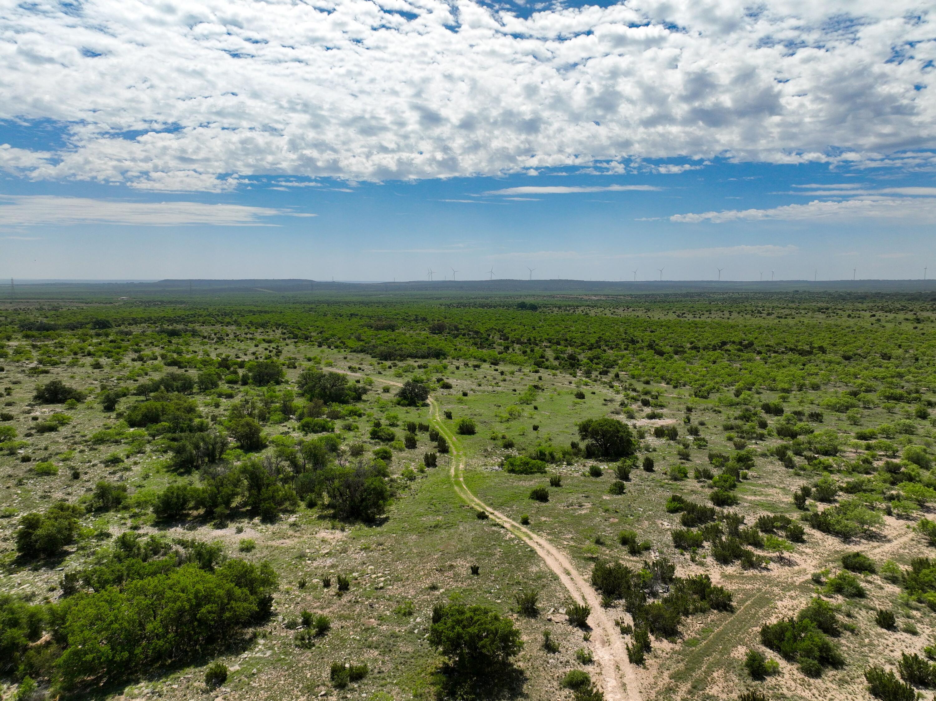 9534 Duff Road Christoval, TX 76935 - Photo 54 of 70 DJI_0547