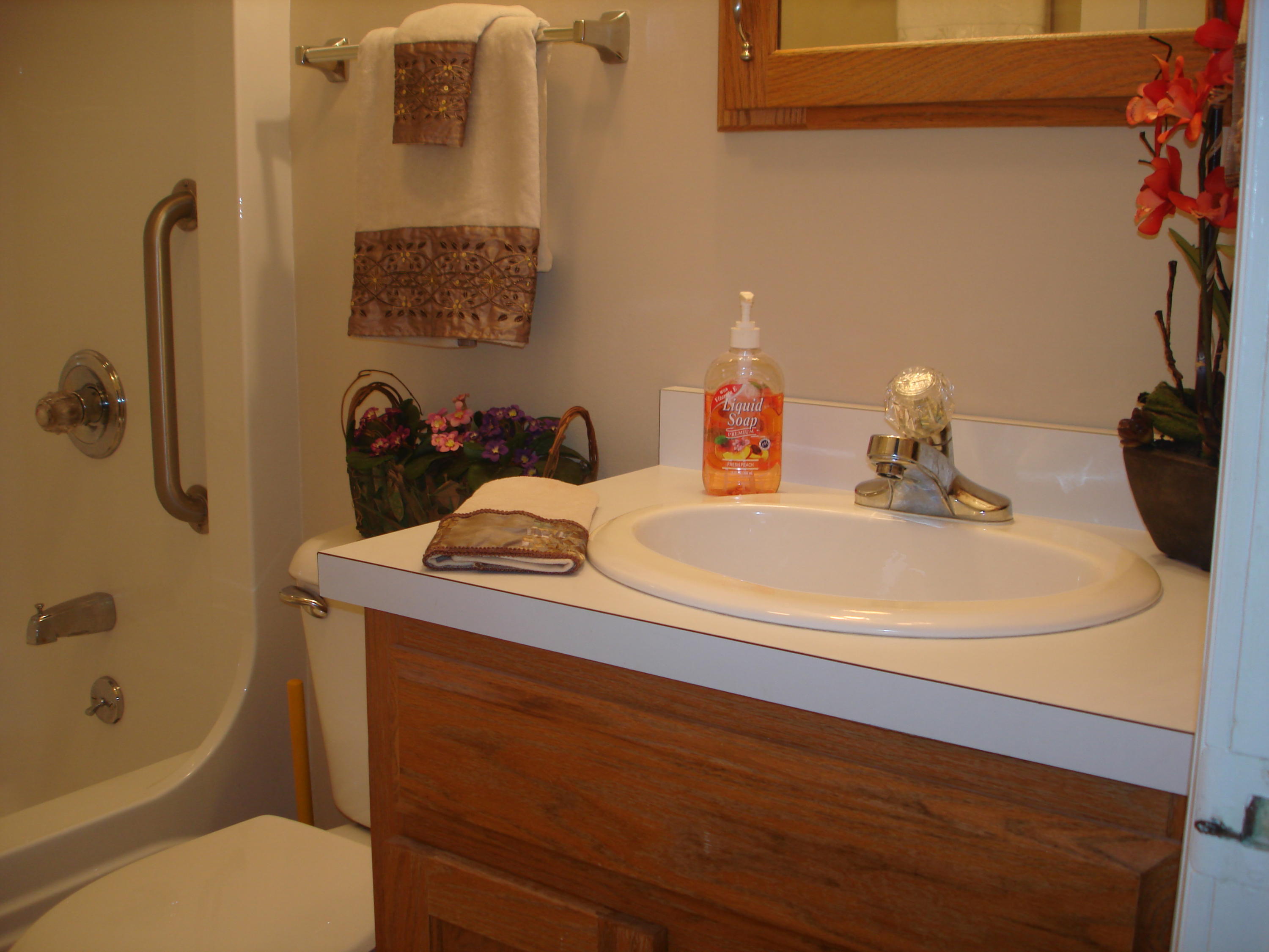 215 Butler Road Oak Ridge, TN 37830 - Photo 14 of 18 UPDATED BATH