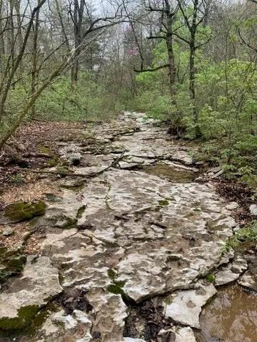 $1,200,000 | 2313 Flat Creek Road, Cape Fair, MO 65624