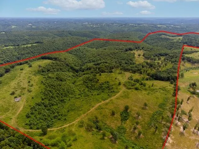 $1,200,000 | 2313 Flat Creek Road, Cape Fair, MO 65624