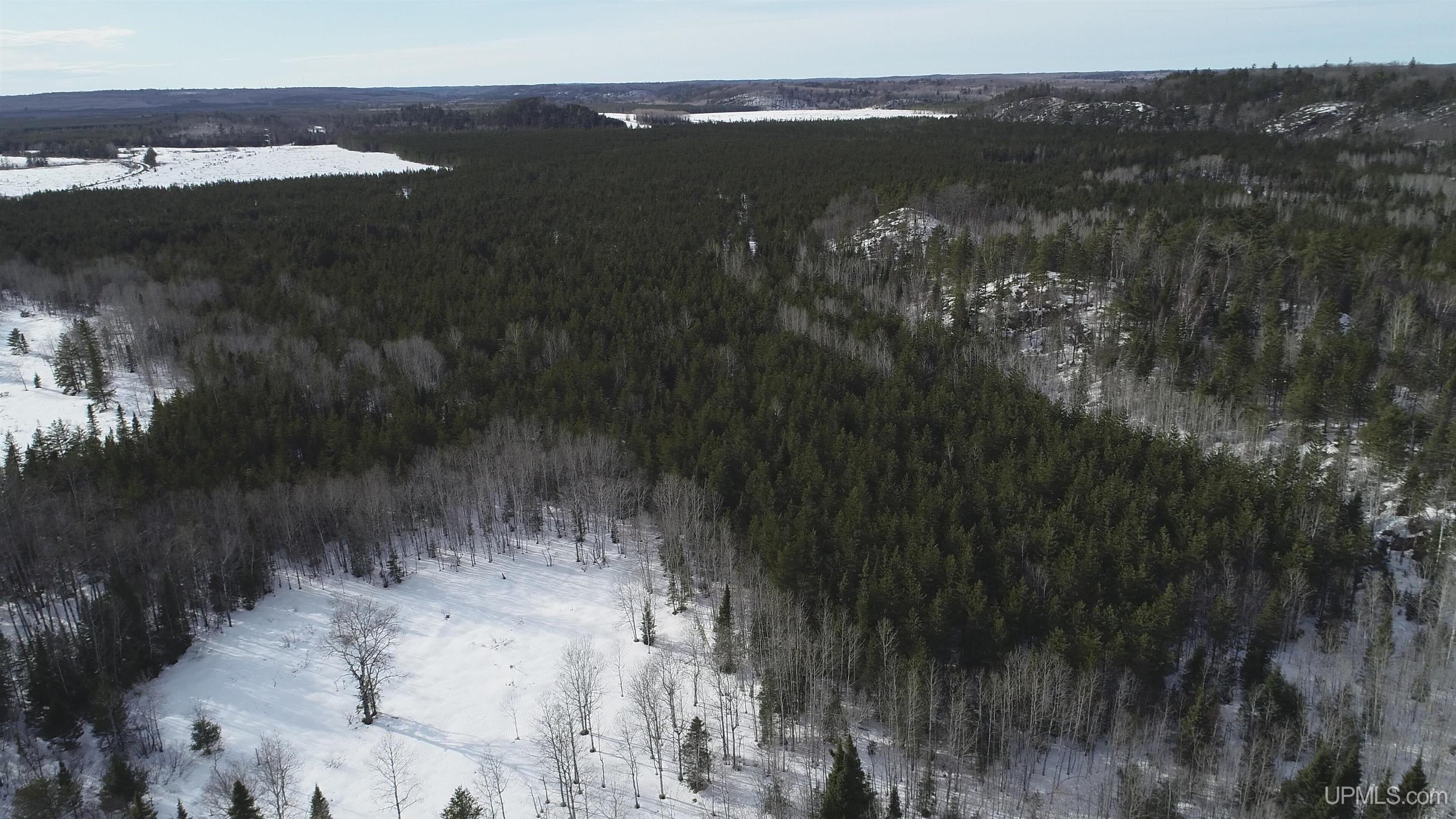40-acres Off County Cv Road Champion, MI 49814 - Photo 29 of 45