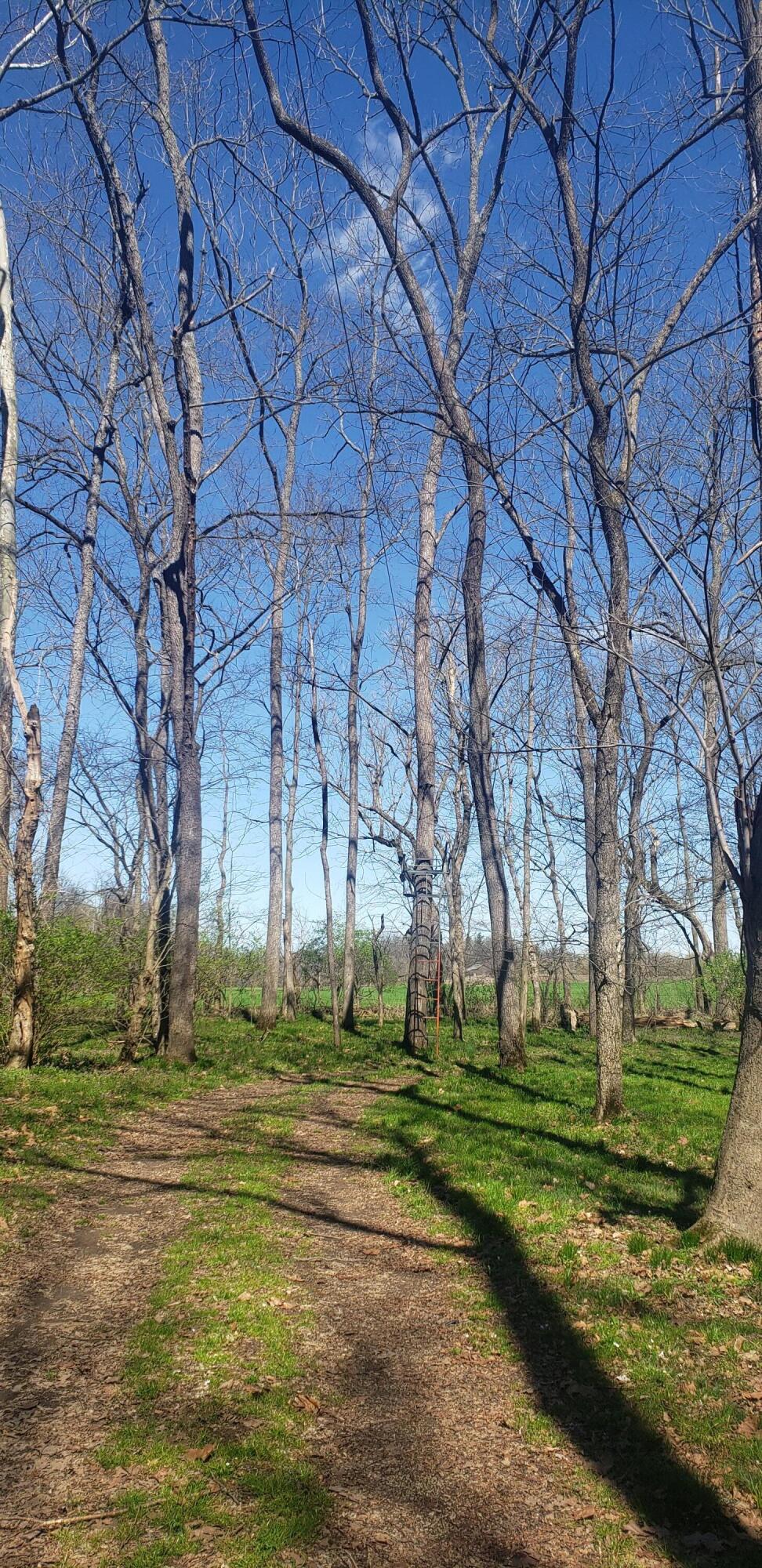 133 Cemetery Road Cynthiana, KY 41031 - Photo 13 of 15 20240317_131558