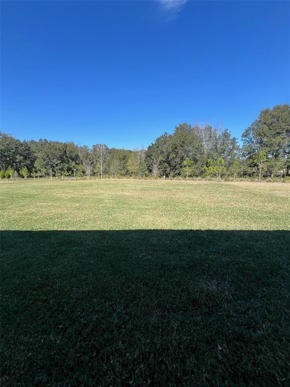 5375 Northwest 48th Lane Ocala, FL 34482 - Photo 17 of 36 a view of an ocean from a yard