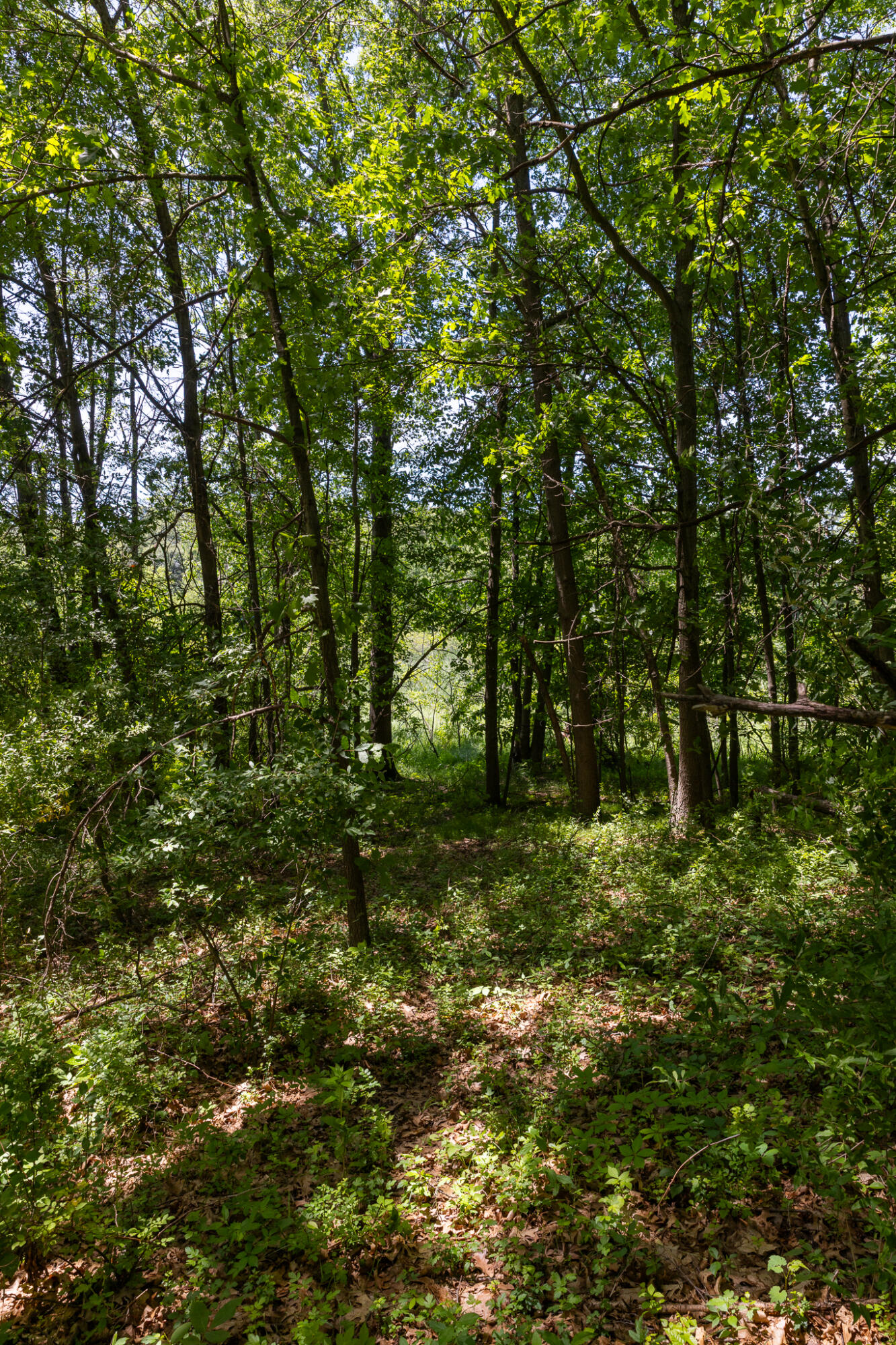 28 28 Mile Road Albion, MI 49224 - Photo 18 of 41 28 Mile -20