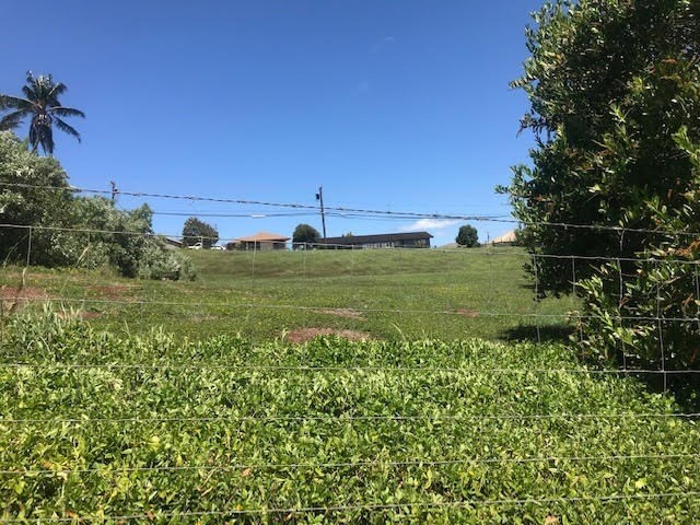 116 B Puu Road Kalaheo, HI 96741 - Photo 11 of 14 a view of a green field with lots of bushes