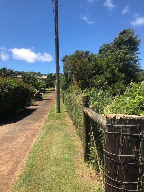 116 B Puu Road Kalaheo, HI 96741 - Photo 3 of 14 a view of a pathway with a yard