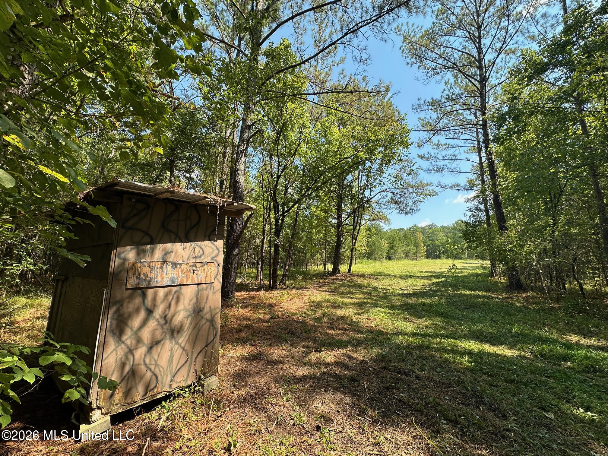 7 Forest Service Road 562 Pulaski, MS 39152 - Photo 12 of 24 239
