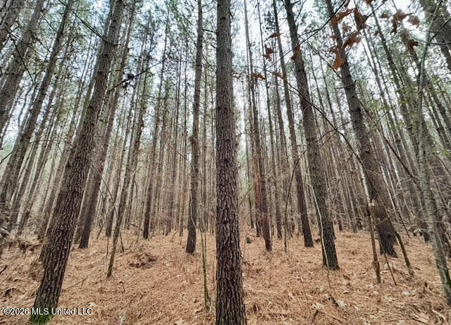 7 Forest Service Road 562 Pulaski, MS 39152 - Photo 15 of 24 252