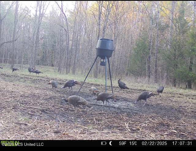 7 Forest Service Road 562 Pulaski, MS 39152 - Photo 16 of 24 253