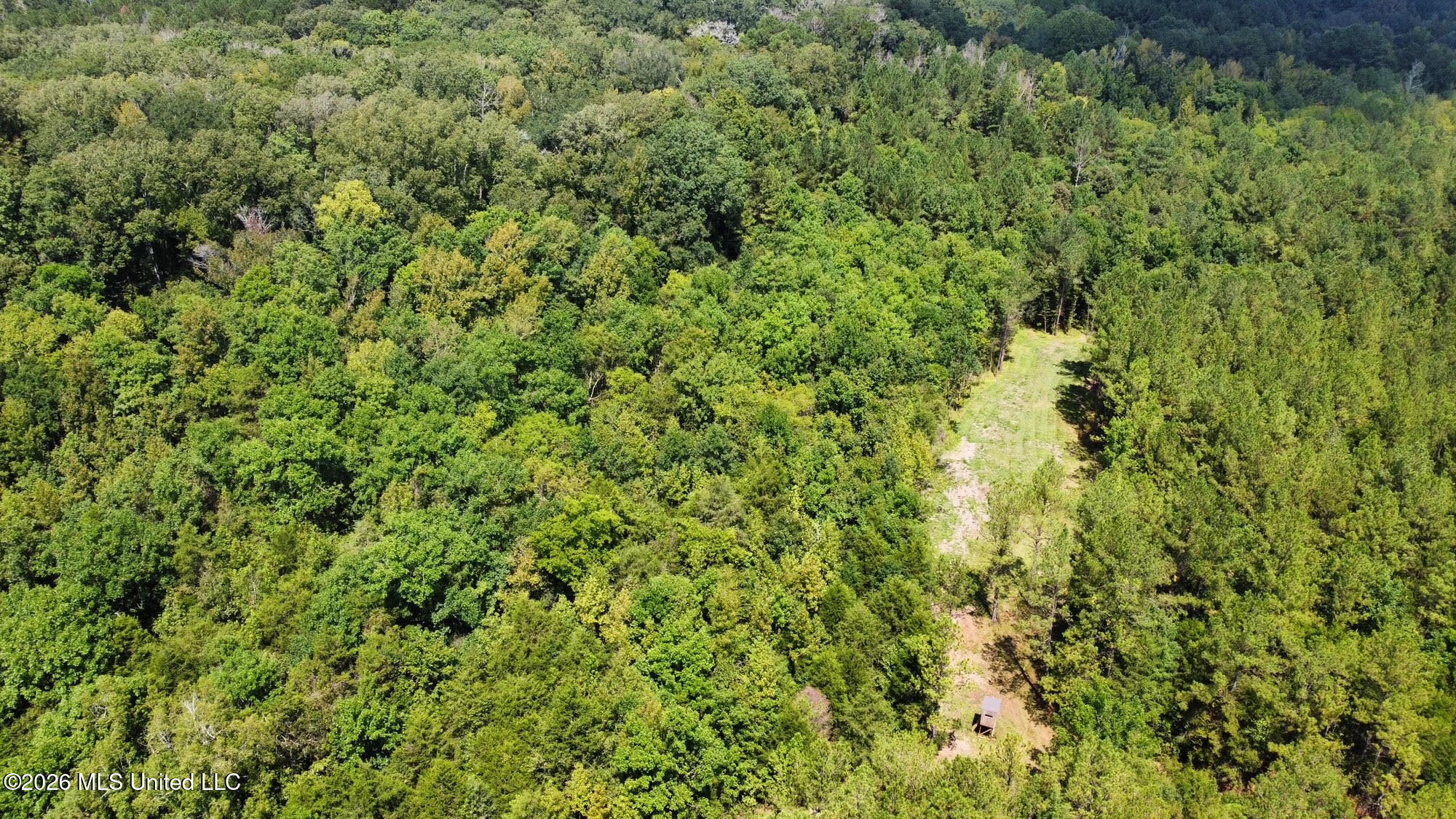 7 Forest Service Road 562 Pulaski, MS 39152 - Photo 18 of 24 303