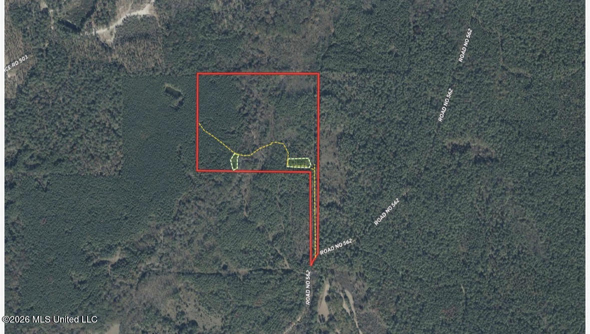 7 Forest Service Road 562 Pulaski, MS 39152 - Photo 20 of 24 509
