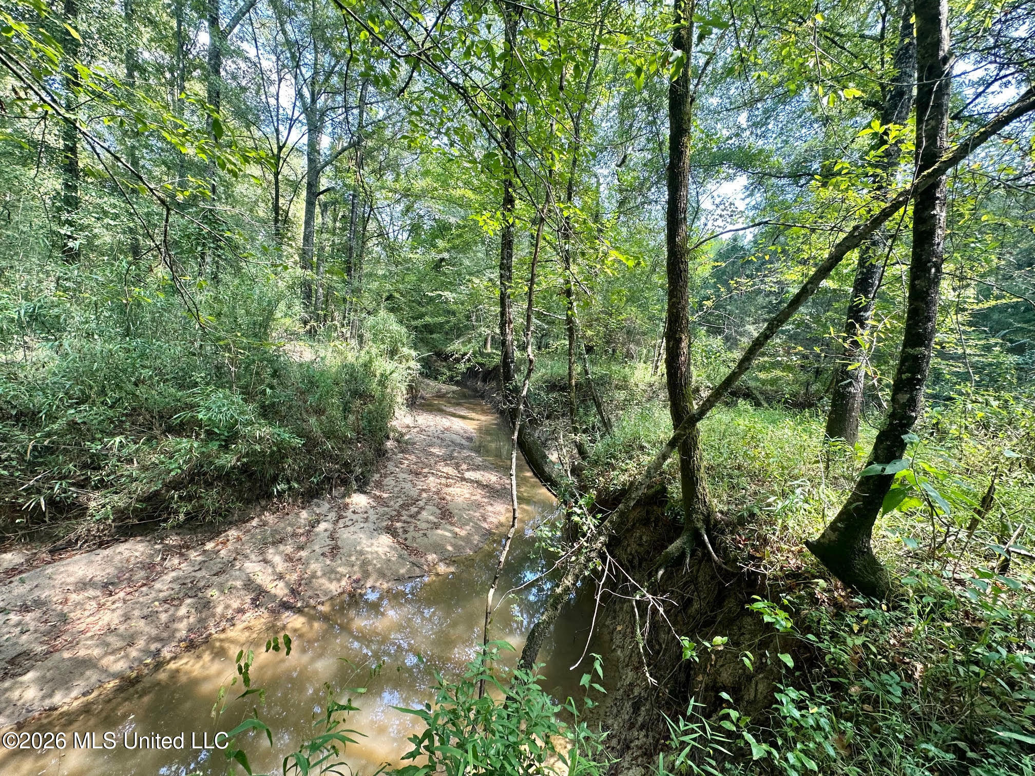 7 Forest Service Road 562 Pulaski, MS 39152 - Photo 8 of 24 232