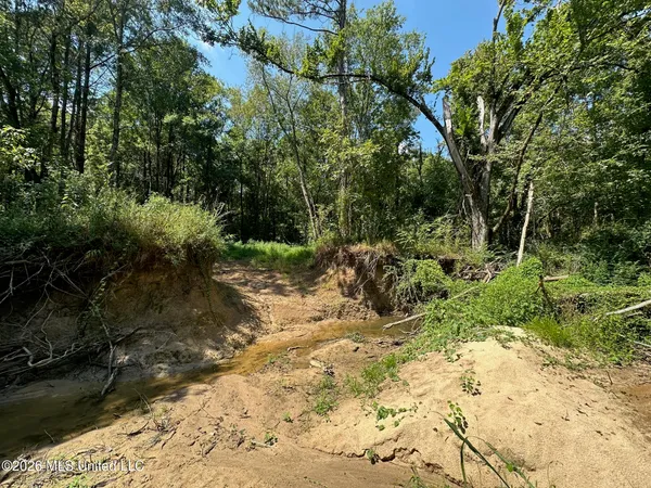 $175,000 | 7 Forest Service Road 562, Pulaski, MS 39152