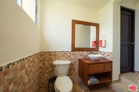 a view of a backyard with plants and a large tree