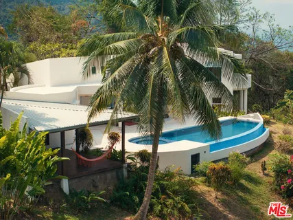 a close up of a plant in a garden