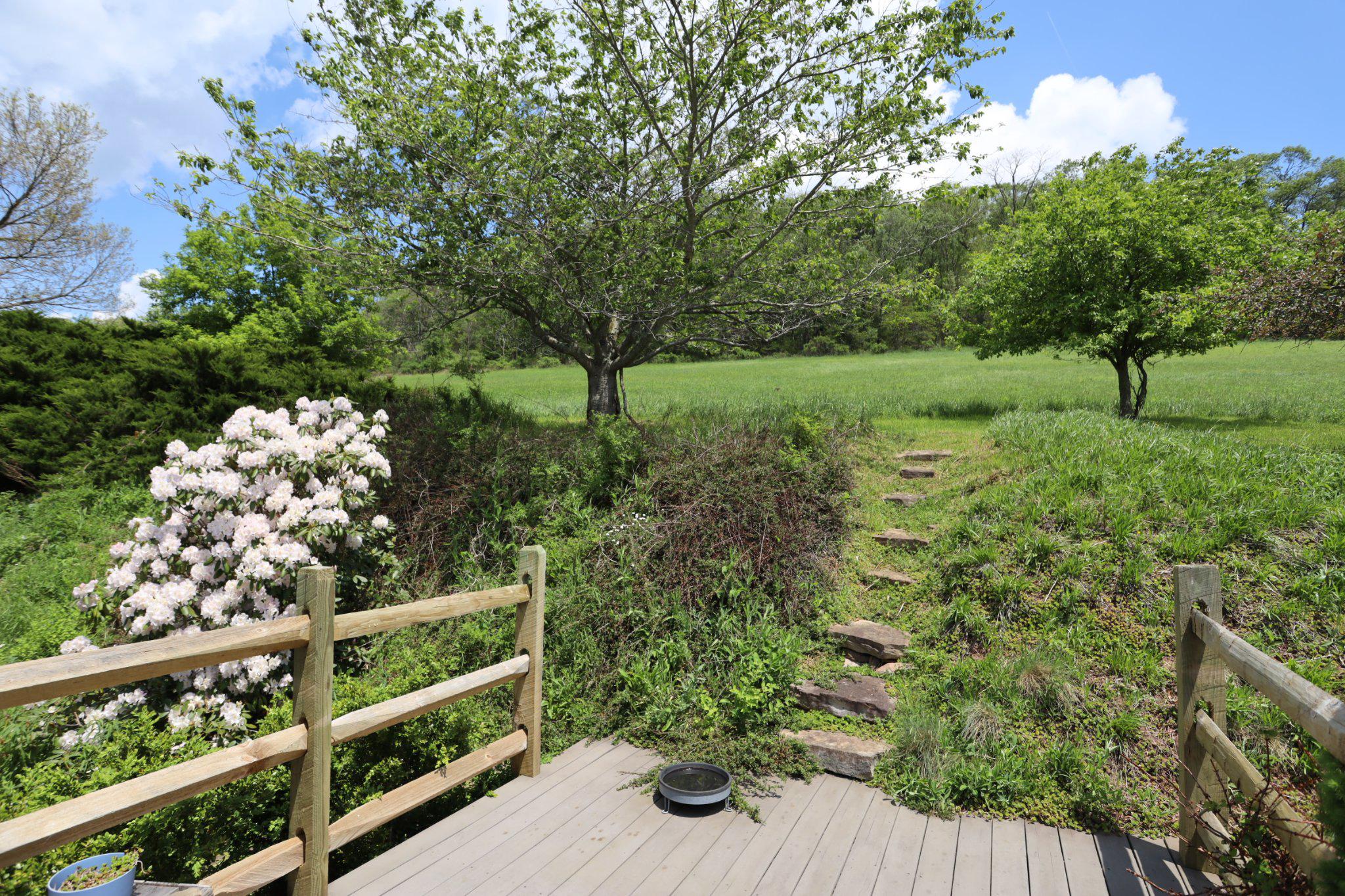 335 Charley Bowser Road Accident, MD 21520 - Photo 57 of 85 Tranquil garden area in back of home