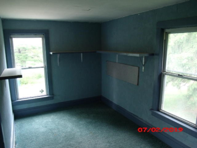 4241 Dildine Road Ionia, MI 48846 - Photo 11 of 15 GEDC6981