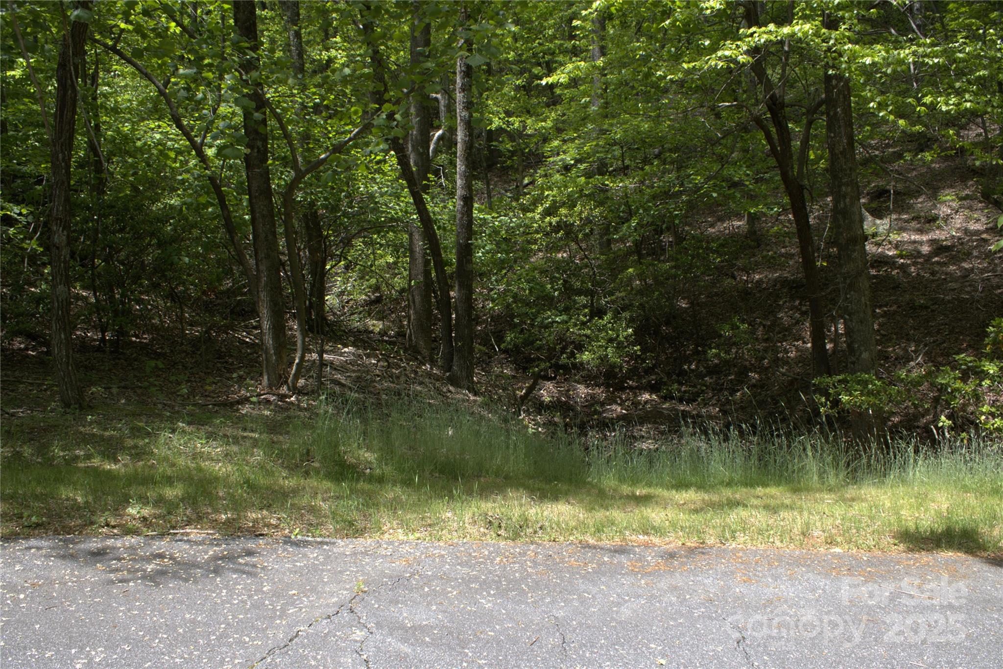 a view of lake with green space