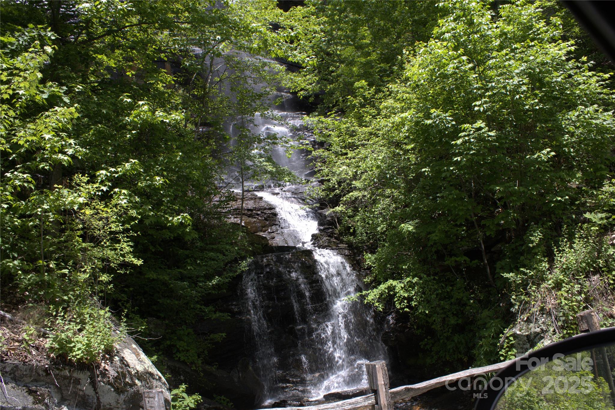 0 Blockaders Den None, Unit NONE Columbus, NC 28722 - Photo 11 of 14