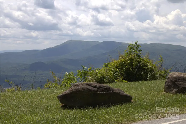 $33,500 | 0 Blockaders Den None, Unit NONE, Columbus, NC 28722