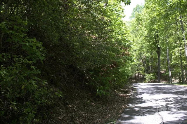 a view of outdoor space and trees all around