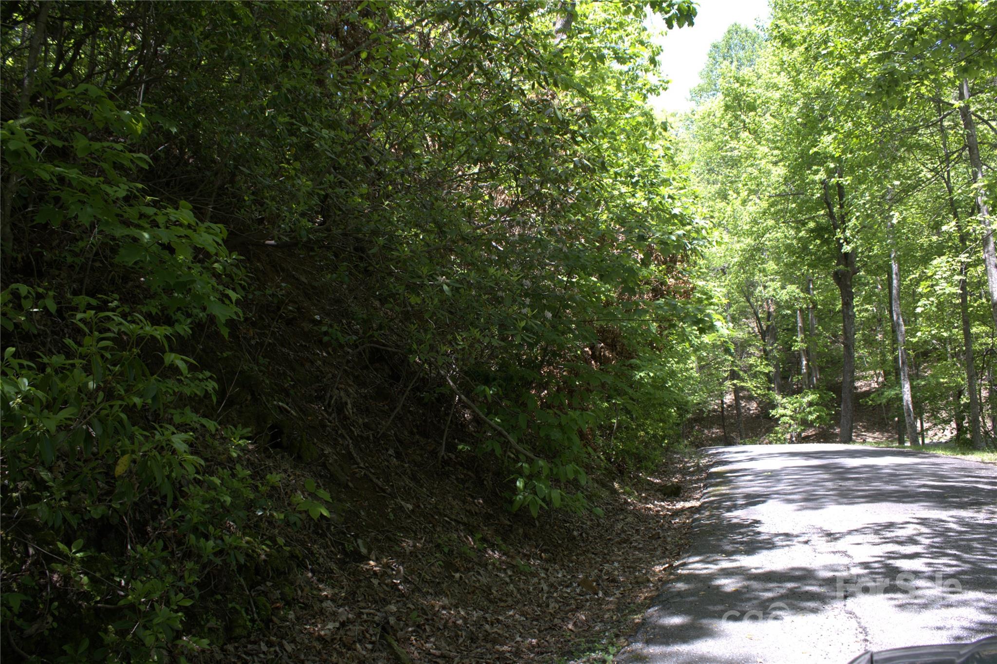 0 Blockaders Den None, Unit NONE Columbus, NC 28722 - Photo 4 of 14 a view of outdoor space and trees all around