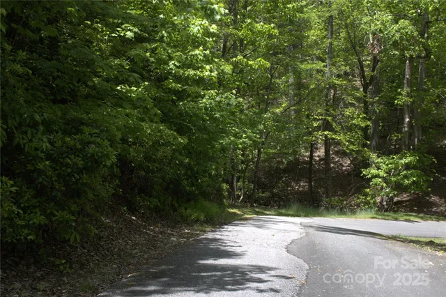 a view of a yard with plants and trees