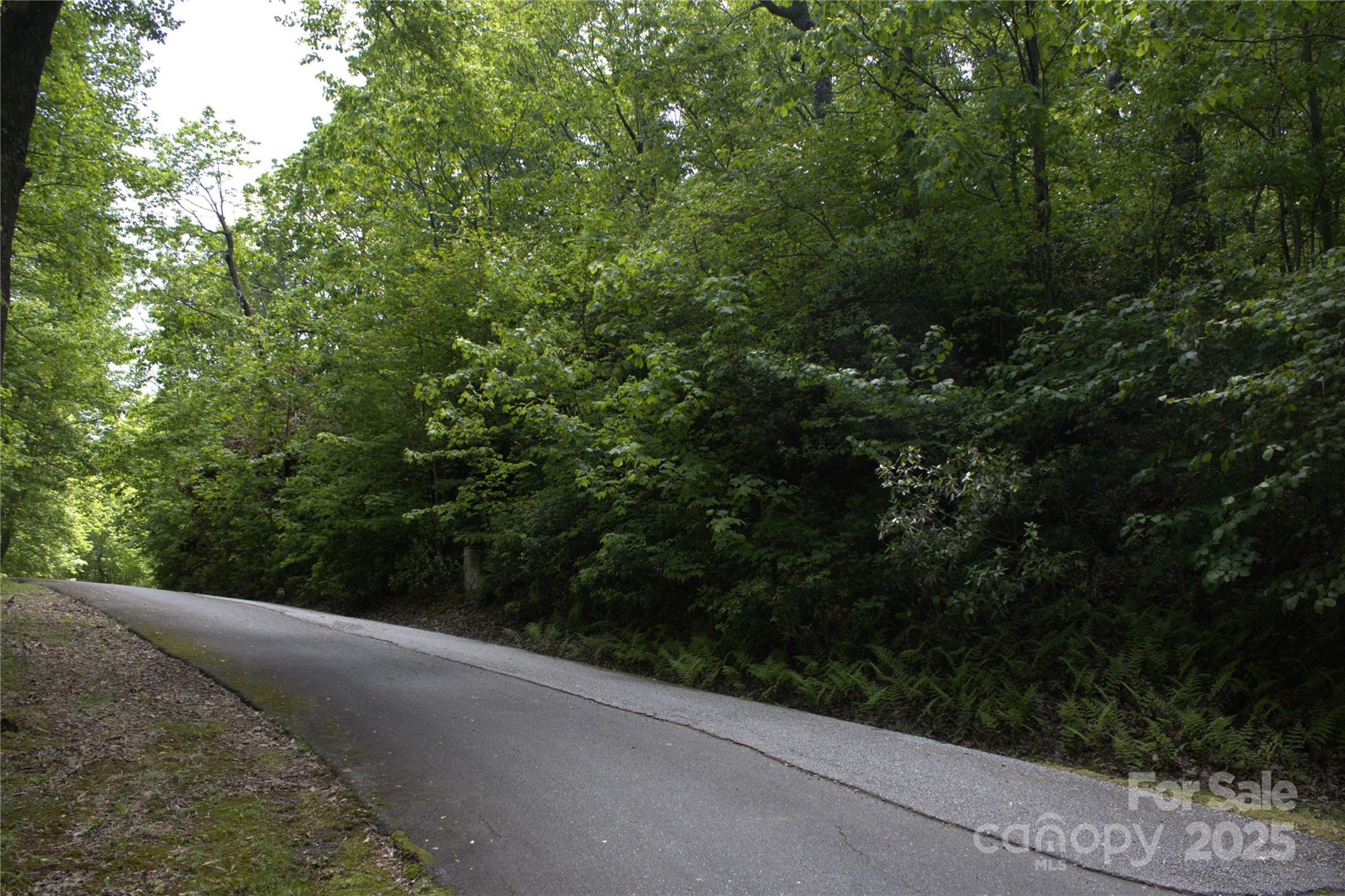 0 Blockaders Den None, Unit NONE Columbus, NC 28722 - Photo 6 of 14 a view of a road from a balcony