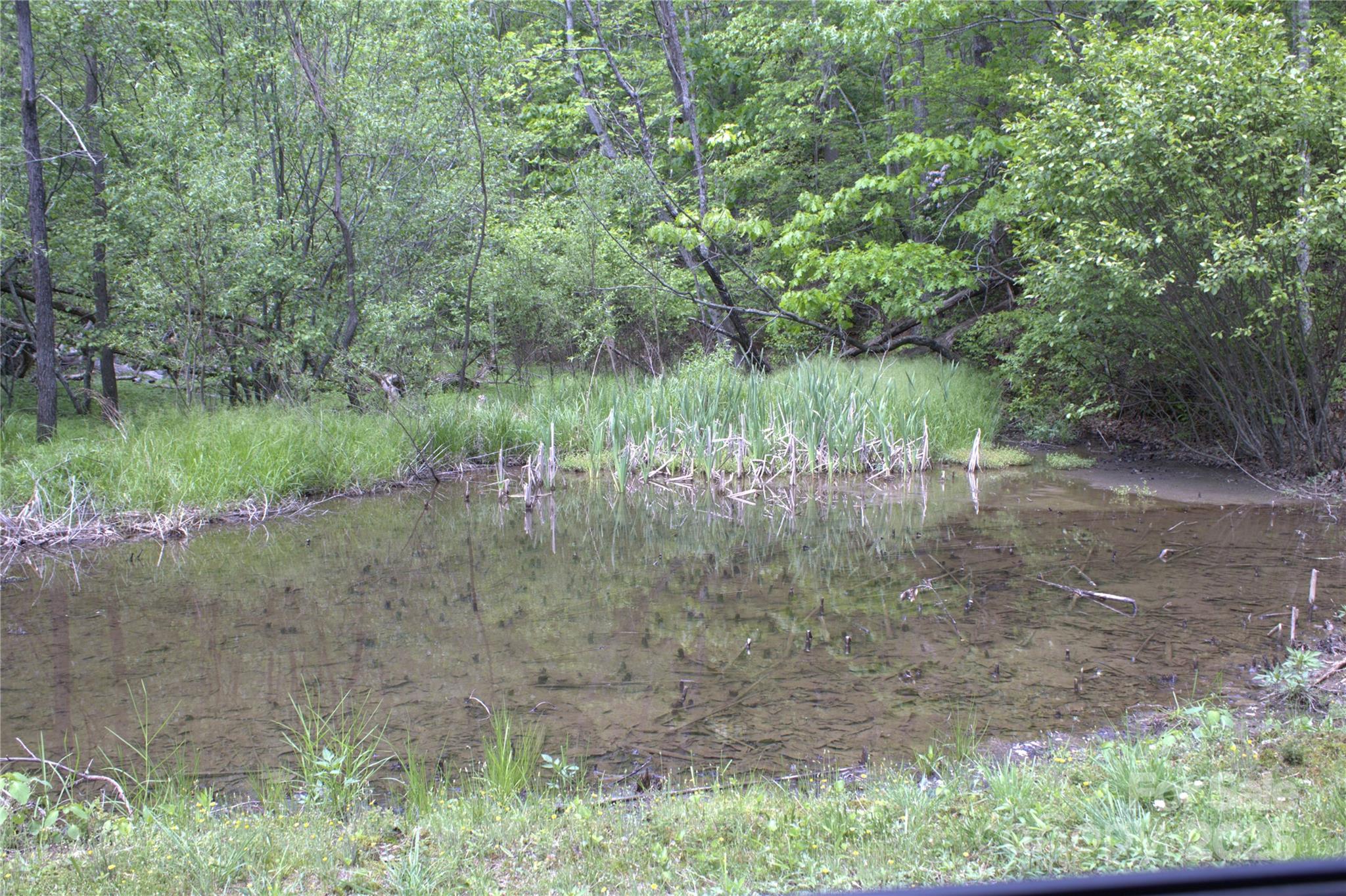 0 Blockaders Den None, Unit NONE Columbus, NC 28722 - Photo 7 of 14 a view of a lake with a yard