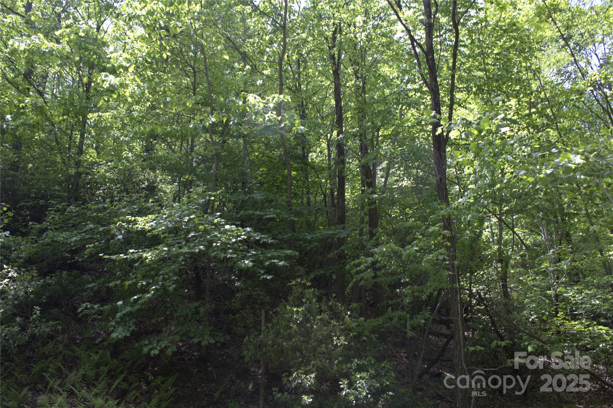 0 Blockaders Den None, Unit NONE Columbus, NC 28722 - Photo 8 of 14 a view of a forest
