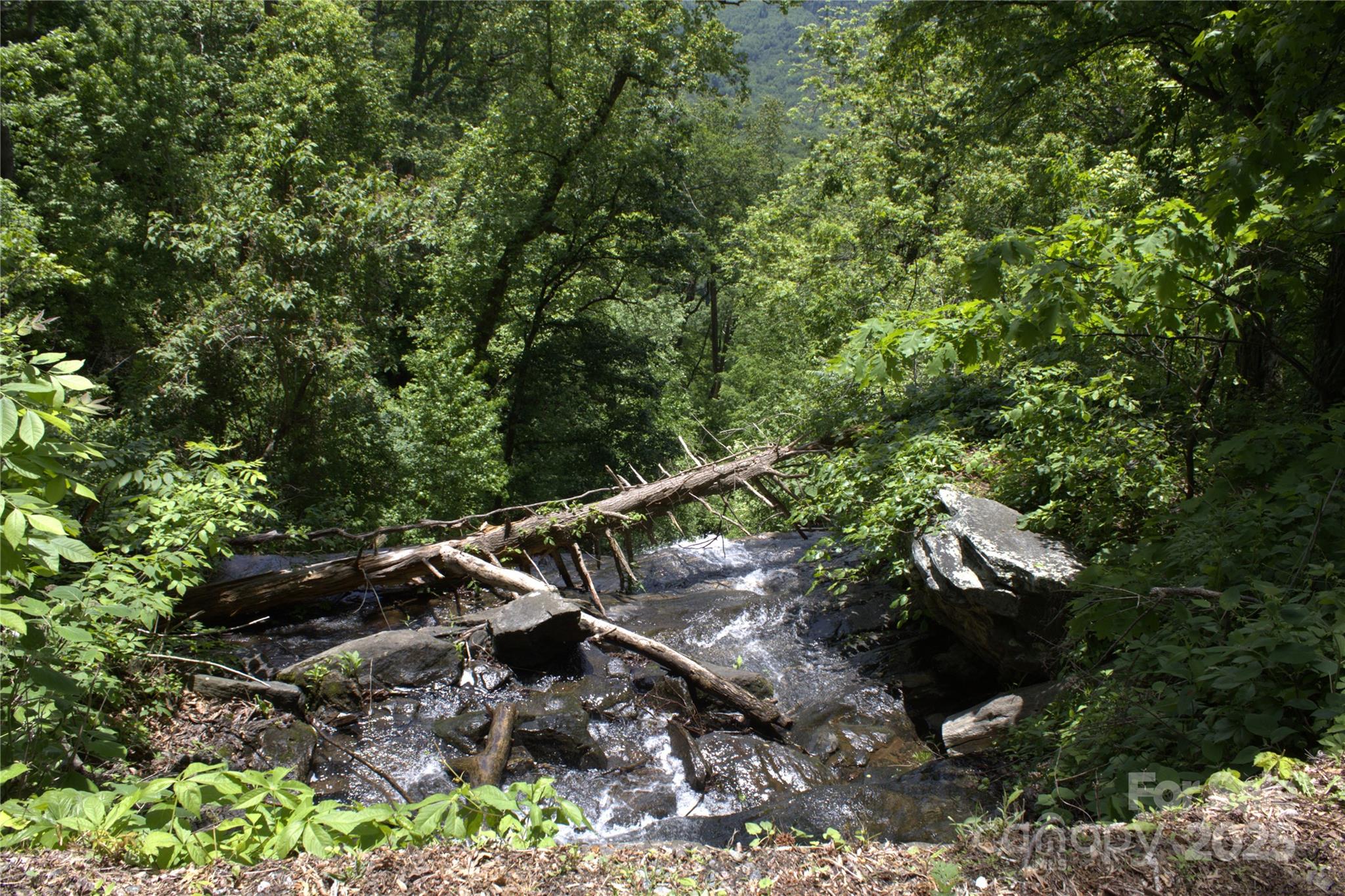 0 Blockaders Den None, Unit NONE Columbus, NC 28722 - Photo 10 of 14 a view of an outdoor space with sitting area