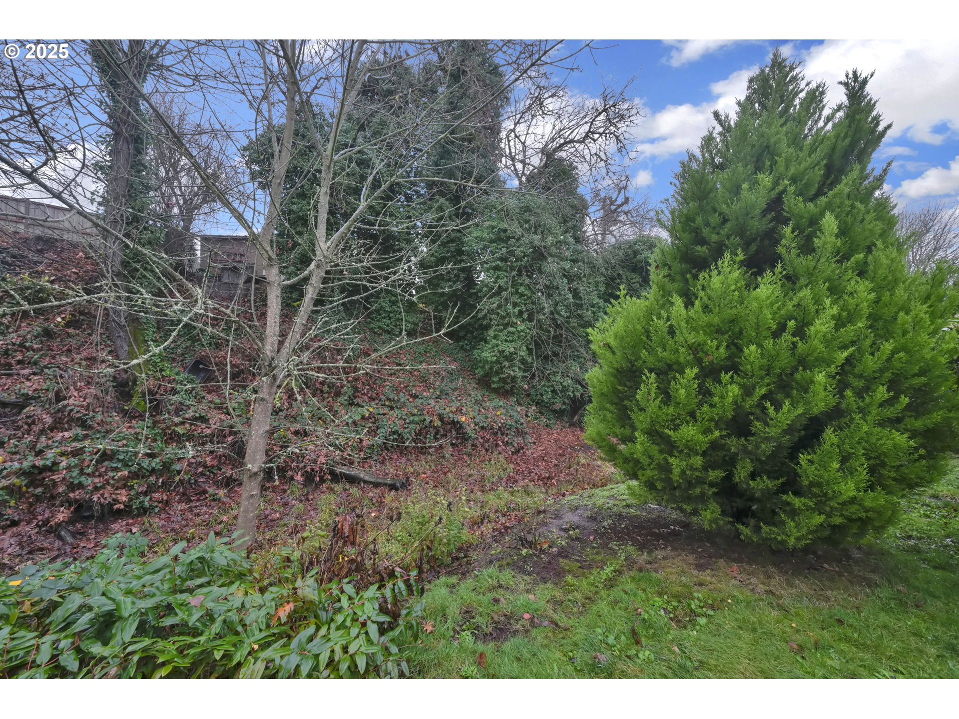 1475 Green Acres Road, Unit 13 Eugene, OR 97408 - Photo 36 of 39 a view of a large yard with lots of green space